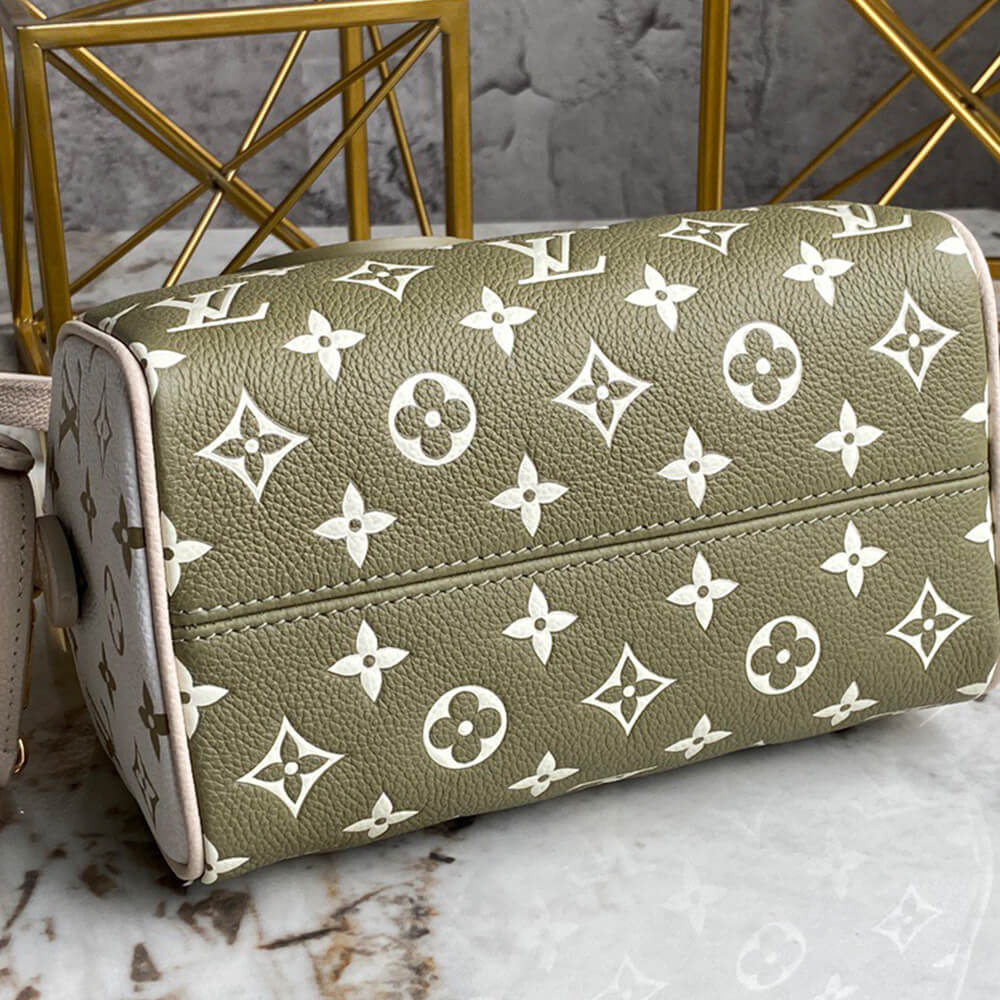 LV Speedy Bandouliere 20 2way Hand Bag