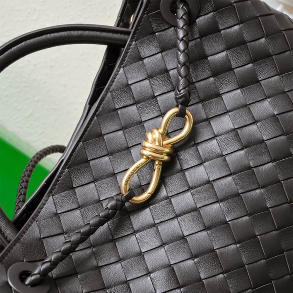 Bottega Veneta Medium Andiamo(high-end grade)
