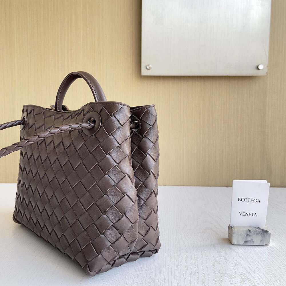 Bottega Veneta Small Andiamo(Tax-Free grade)