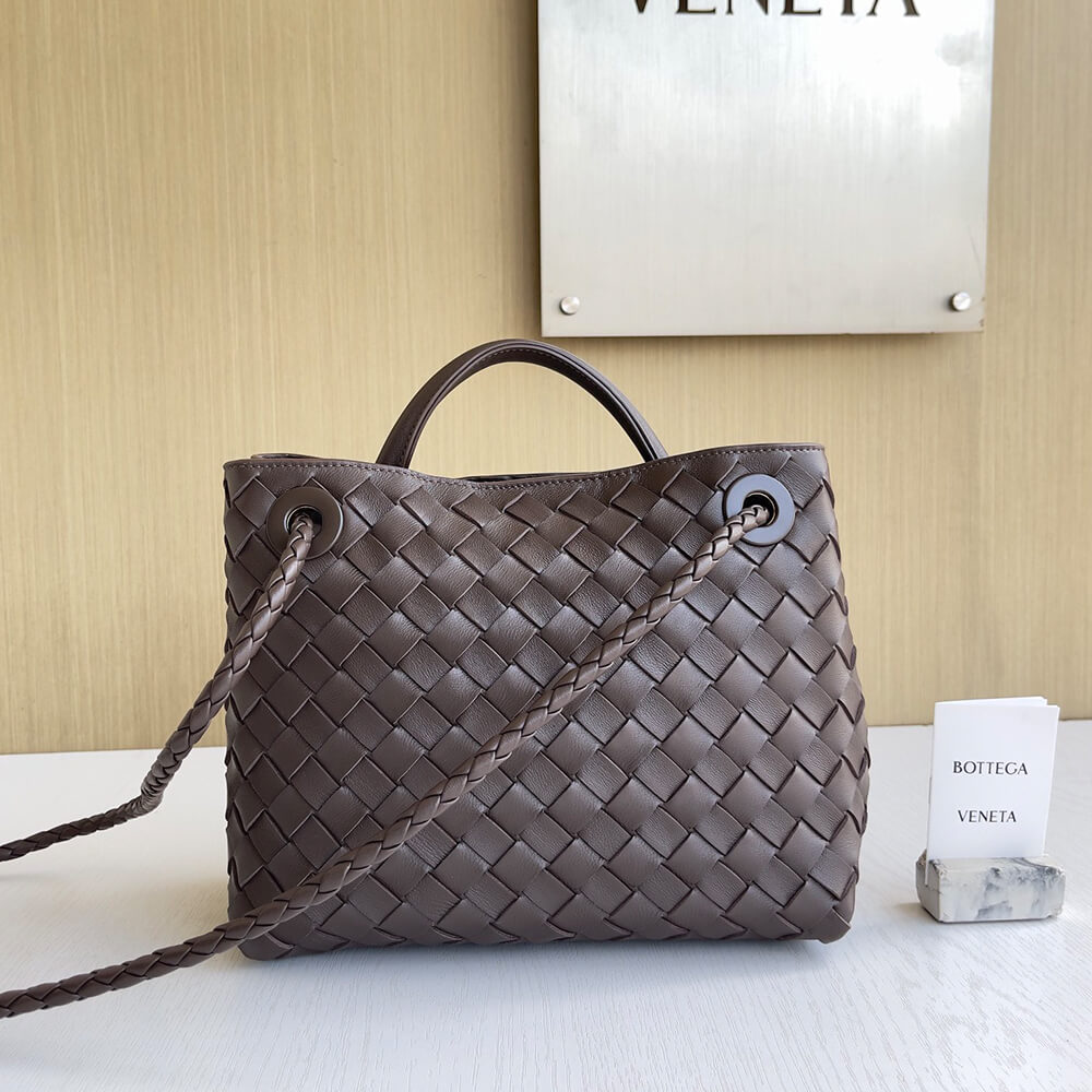 Bottega Veneta Small Andiamo(Tax-Free grade)