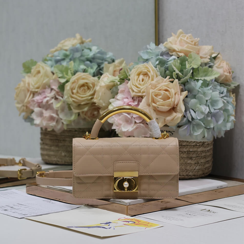 mini D*or ange bag