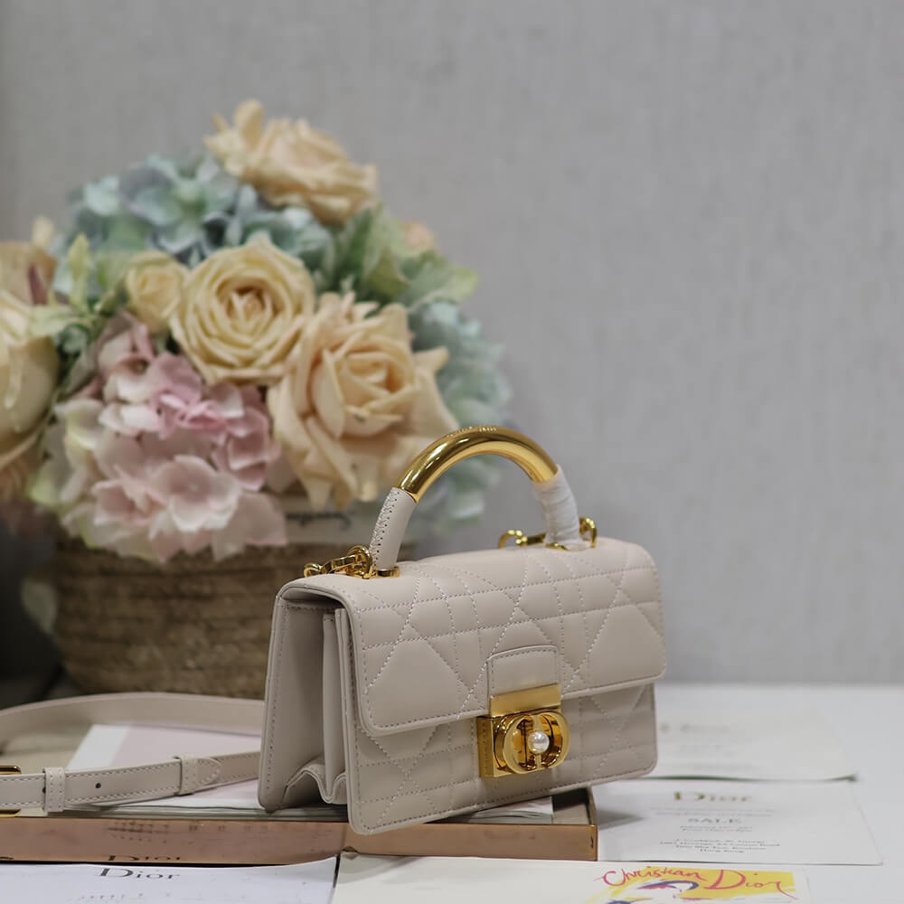 mini D*or ange bag