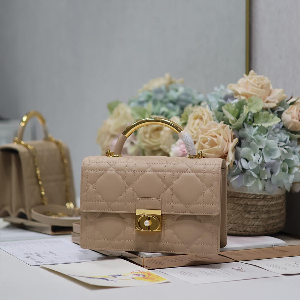medium D*or ange bag