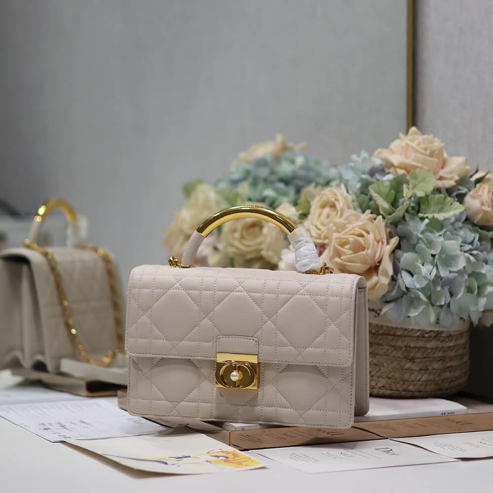 medium D*or ange bag