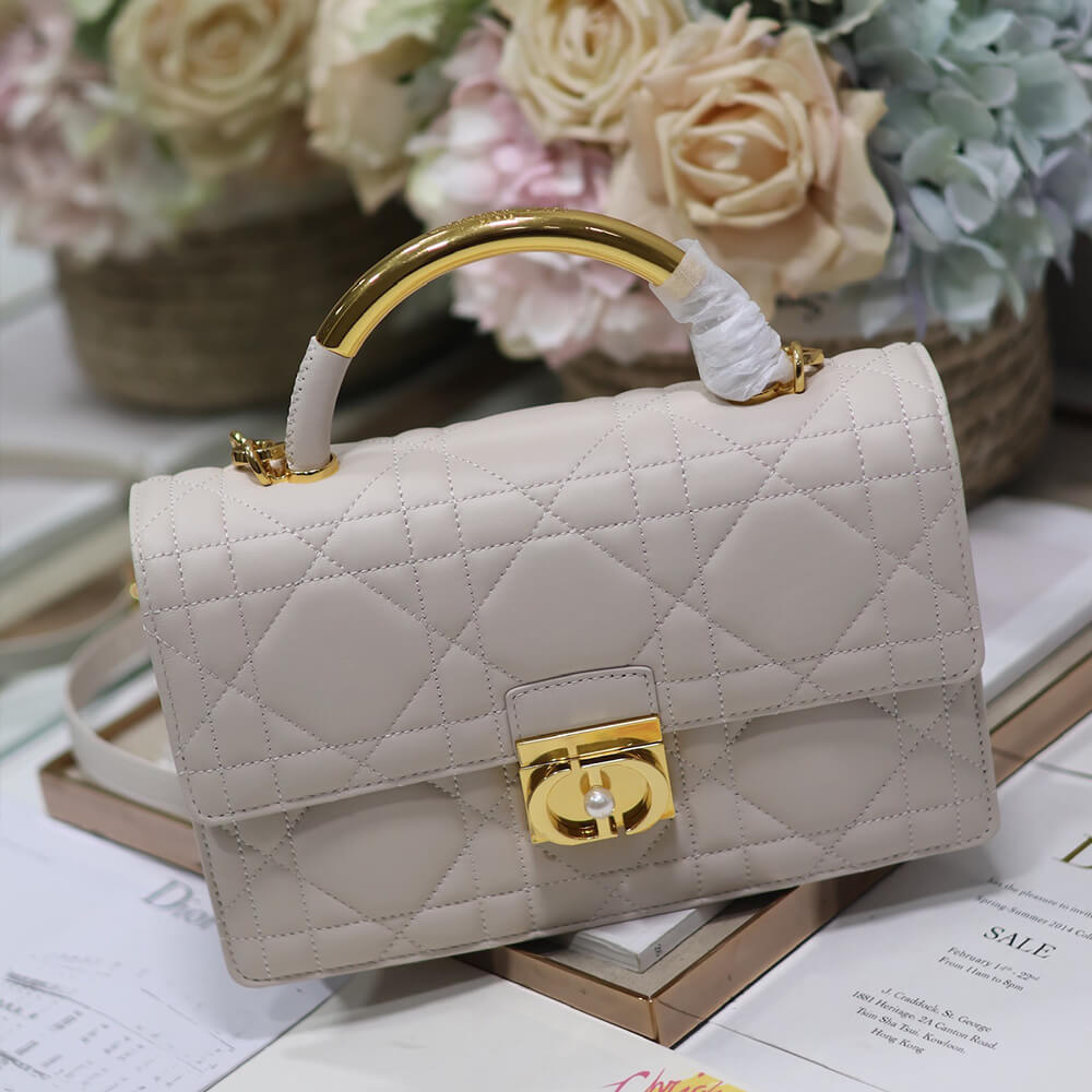 medium D*or ange bag