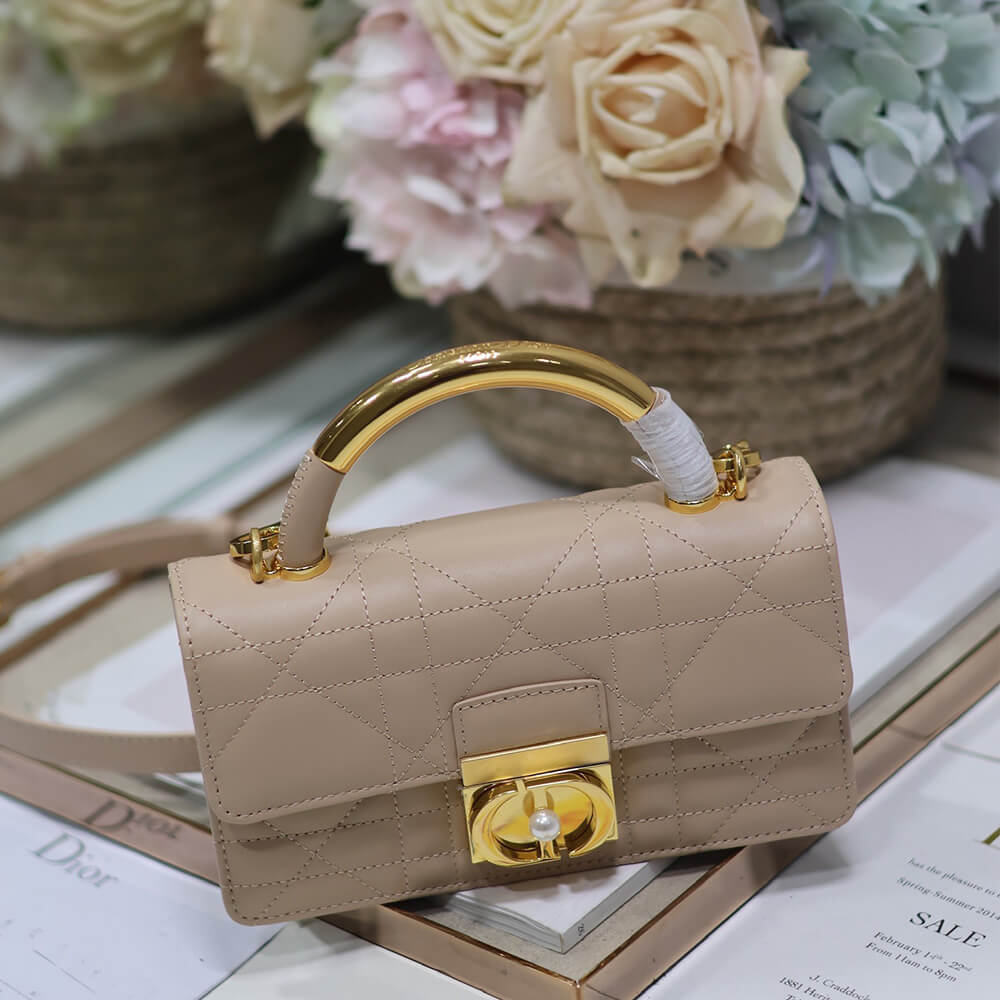 mini D*or ange bag