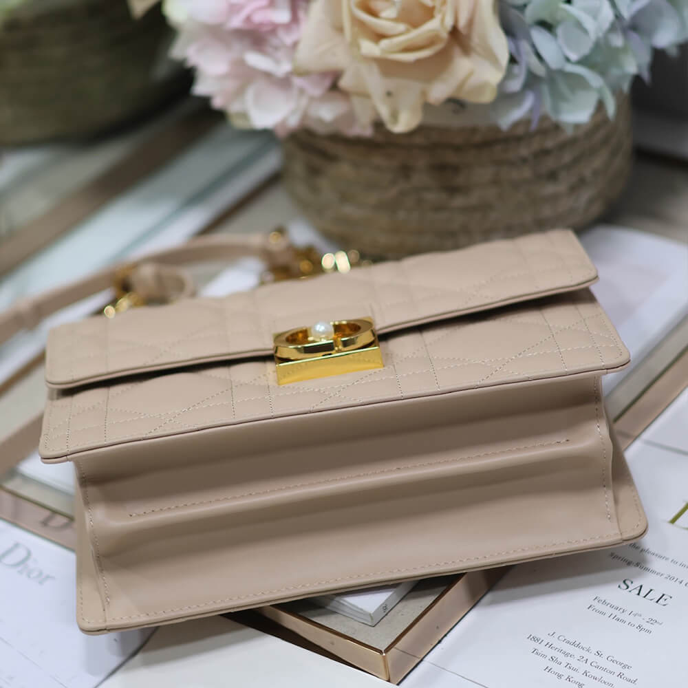 medium D*or ange bag