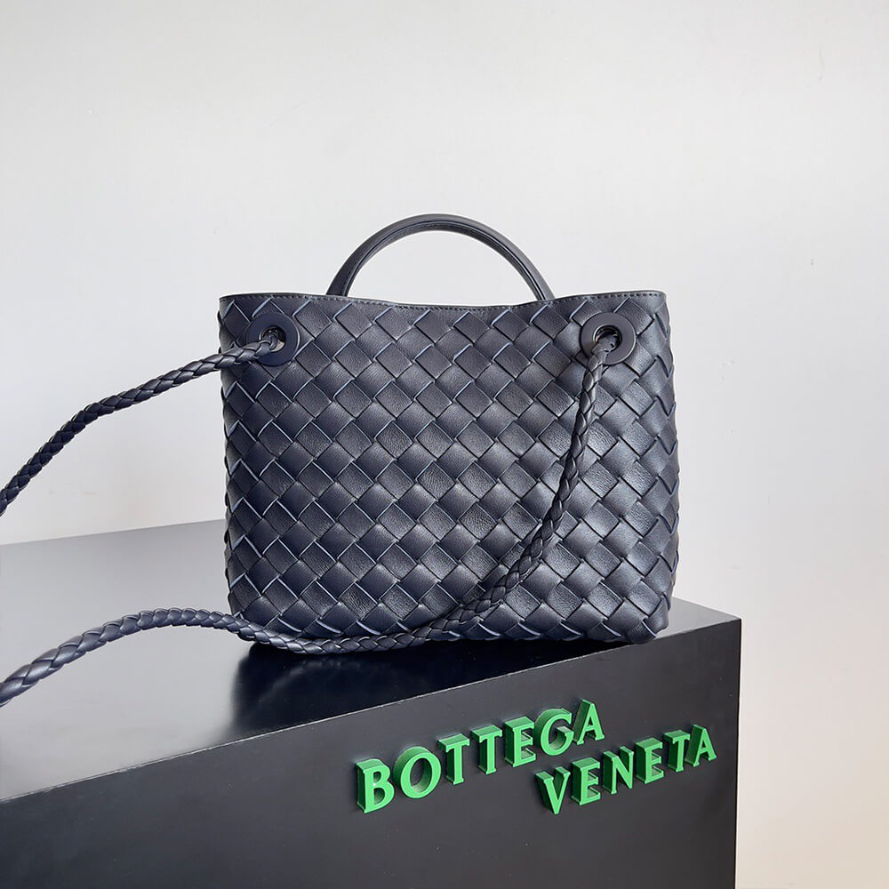 Bottega Veneta Small Andiamo