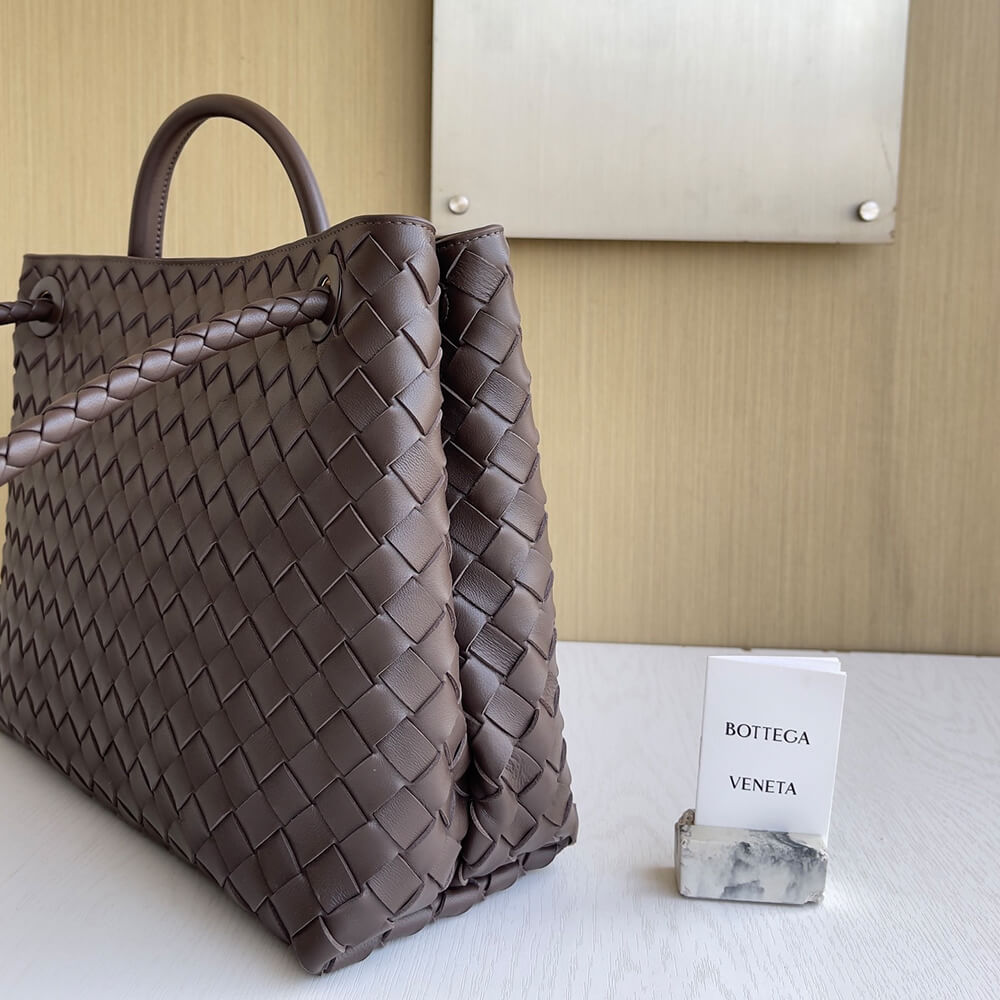 Bottega Veneta Medium Andiamo(Tax-Free grade)