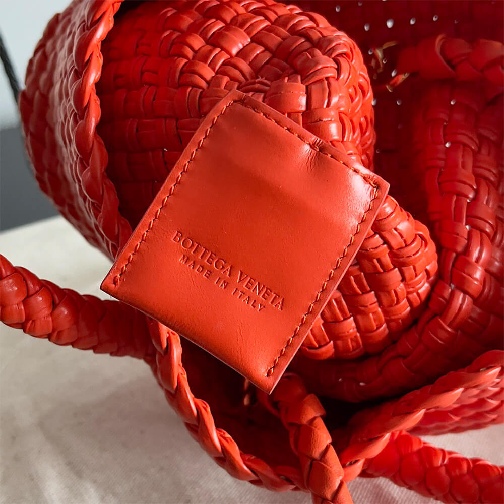 Bottega Veneta Small Tosca(high-end grade)