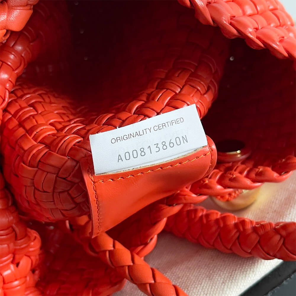 Bottega Veneta Small Tosca(high-end grade)