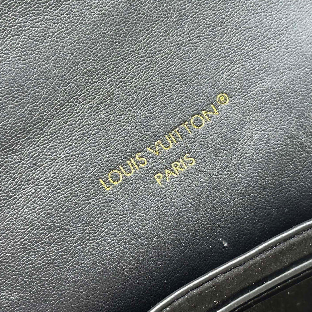LV Coussin Backpack PM