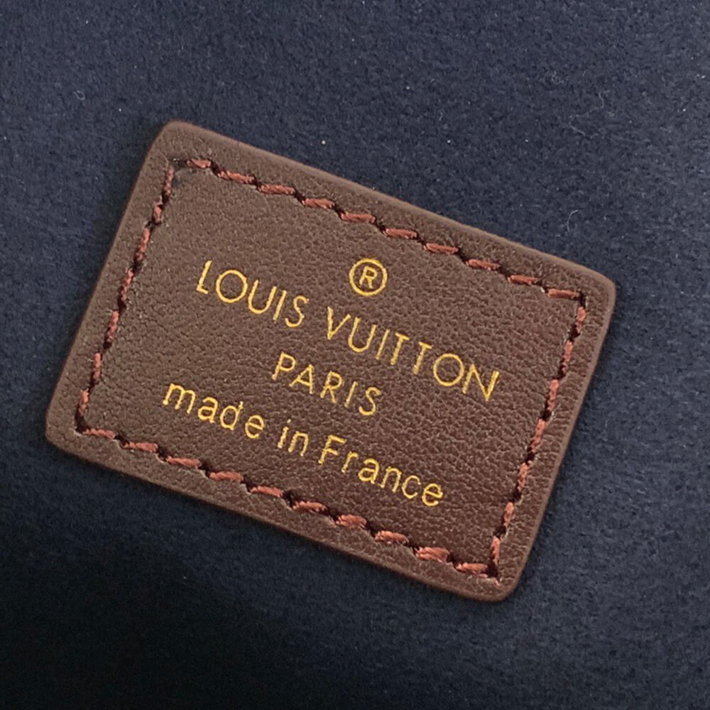 LV Coussin Hobo MM(HIGH-END GRADE)